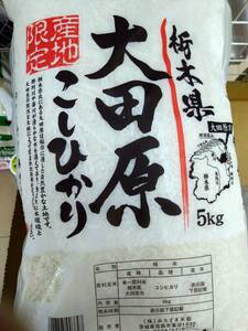 栃木県　大田原　こしひかり　令和5年産　5kg　複数可