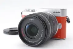 美品✨パナソニック LUMIX-GF9❤️Wi-Fi&自撮り❤️小型軽量！