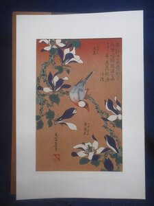 M0702 葛飾北斎 文鳥と辛夷花 花鳥風月選集 手摺 木版画 大江戸木版社