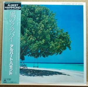 LP(POP/Rock,帯付,25AP-2025,’81年盤) アルバート・ハモンド ALBERT HAMMOND / 風のララバイ【同梱可能６枚まで】051212