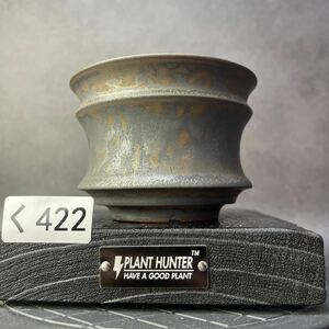 く422 Hand Made 植木鉢 陶器 検（アガベ パキプス invisible ink raw life factory SRL 信楽焼 伝市鉢　カタチ製作所 塊根植物 亀甲竜