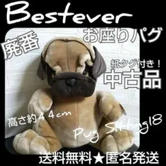 レア！ Bestever ベストエバー Pug Sittingぬいぐるみ★パグ