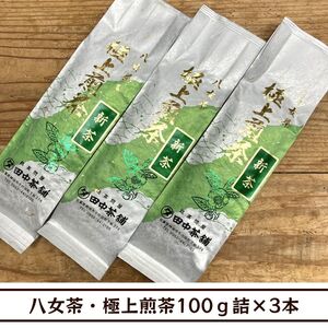 【送料無料】八女茶・極上煎茶100ｇ詰×３本（福岡県産）