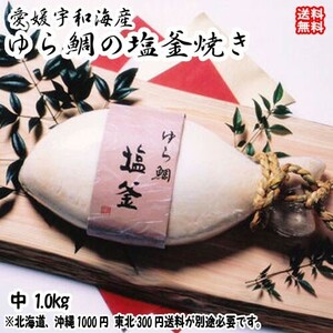 鯛の塩釜焼 中 魚体約40cm1kg 愛媛 お祝 お食い初め 慶事 送料無料 北海道/沖縄/東北は別途送料 浜から直送 宇和海の幸問屋