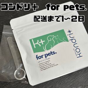 コンドリプラスPET スプーン付き