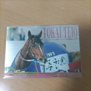 【稀少限定品】競馬　トウカイテイオー　Gdream カードコレクション　セントラルホビー有馬記念シリアルナンバーカード　1941/10000ウマ娘