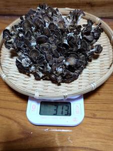 ◆奥羽山系の恵み◆天然舞茸♪300g♪天然　まいたけ