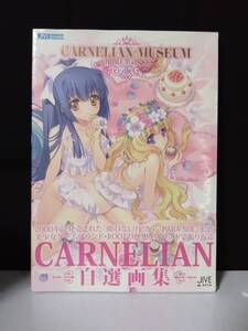 【新品未開封】CARNELIAN MUSEUM-ORBIT WORKS-