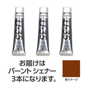 まとめ得 ターナー色彩 U35 バーントシェナー20ml 3個 TURNER108692 x [2個] /l