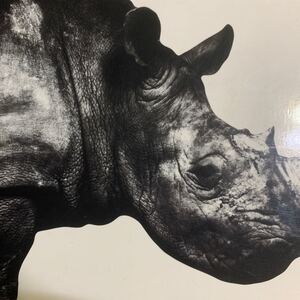 Mr.Children ベストアルバム『1992-1995』ミスターチルドレン