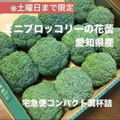 【愛知県産】朝採り ミニブロッコリーの花蕾 満杯詰め 【農家直送】