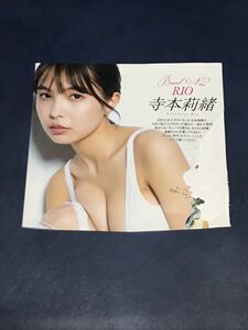 寺本莉緒　週刊プレイボーイ DVD