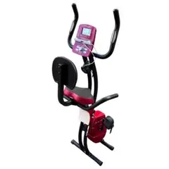 アルインコ ALINCO  FITNESS AFBX4621 フィットネスバイク