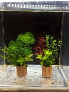 ☆置くだけ簡単レイアウト！ 水草３種植え ２個セット 吸着系多孔質ろ材ライフマルチ付き⑤