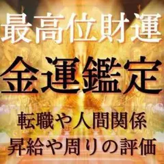 現役霊能者による金運鑑定占い/仕事・転職・天職・人間関係・就職【初回限定価格】