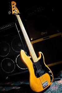 Fender Precision bass Fretless / 1976