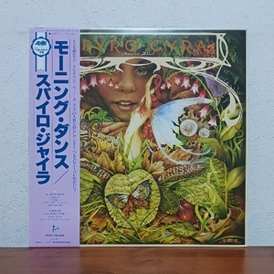 帯付LP/ スパイロ・ジャイラ☆SPYRO GYRA「モーニング・ダンス / MORNING DANCE」