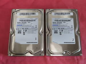  SAMSUNG /HDD 3.5インチ 1TB×2台 