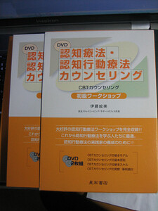 DVD 認知療法・認知行動療法カウンセリング 初級ワークショップ 伊藤 絵美　【注】おまけあり