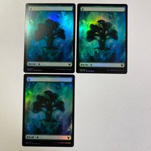 森　FOIL 日本語　3枚セット　基本土地　フルアート　MTG THB