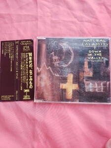 即決　NATURAL CALAMITY ナチュラル・カラミティ DOWN IN THE VALLEY CD 