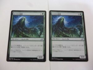 2枚 キヅタの精霊 Ivy Elemental U イコリア 巨獣の棲処 Ikoria MTG マジック・ザ・ギャザリング 日本語