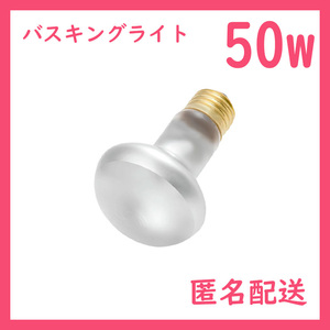 50W★バスキングライト1個(爬虫類ライト)タイトビーム B0041