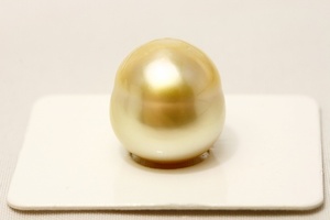 南洋白蝶真珠パールルース　16×14mm　ナチュラルゴールドカラー