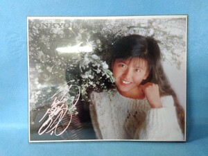 【アイドルグッズ】南野陽子 ONKYO レターケース？ポストカード３枚付き　昭和 80年代 八王子引き取りOK24516