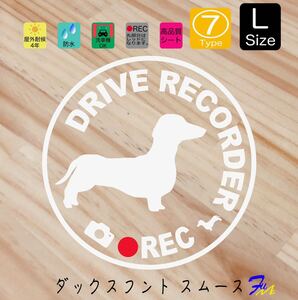 ダックススムース ドラレコステッカー 07 Lサイズ 文字(書体) 4種類から選べる 全28色 #drFUMI #dFUMI #ddFUMI #ddFUMIダックス #ドラレコ