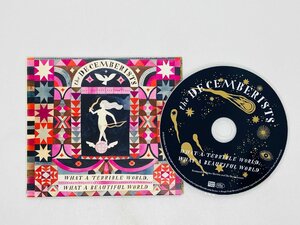 即決CD ザ・ディセンバリスツ / THE DECEMBERISTS / WHAT A TERRIBLE WORLD, WHAT A BEAUTIFUL WORLD RTRADCD756 Y03