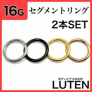 16G　セグメントリング　2本　軟骨　耳たぶ　フープ　ステンレス　ボディピアス