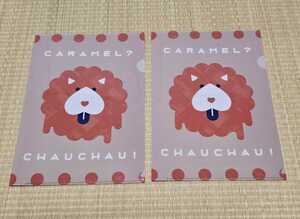 ★新品・非売品☆CARAMEL CHAUCHAU！（キャラメル チャウチャウ）オリジナル　B5クリアファイル2枚セット