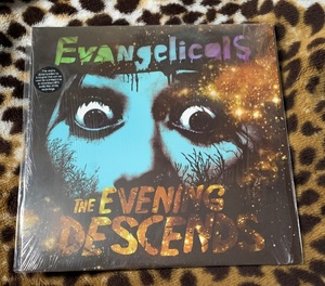 Evangelicals The Evening Descends LP 2008 flaming lips