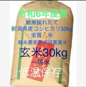 新潟県産米 一等米 金賞 低温 魚沼産より美味 令和6年度農家直送 新米 玄米 こしひかり 30kg キロ 減農薬 健康 新潟市西蒲区 2024 