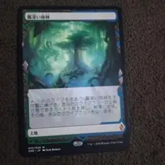 MTG 霧深い雨林 ボックストッパー エクスペディション 日本語 ZNE