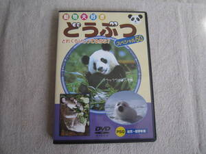 DVD　動物大好き　どうぶつ　スペシャル50　幼児～低学年用