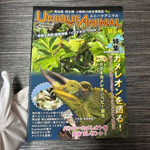 爬虫類 両生類 小動物の総合情報誌●UNIQUE ANIMAL ユニークアニマル 第6号/カメレオンを語る/東海メディア/地中海 リクガメ/飼育★1501-3