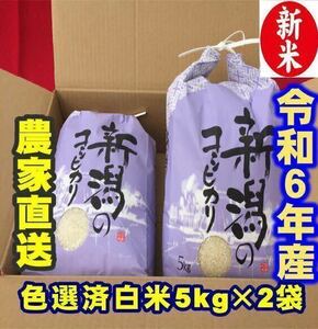 新米　令和6年産　新潟コシヒカリ　白米5kg×2個★農家直送★色彩選別済　検査1等米　2枚目の写真　18