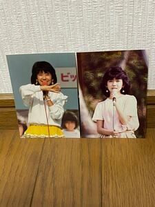 松本伊代 生写真 芸能人 アイドル タレント 歌手 貴重 新品