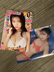 ヤングチャンピオン 大原優乃 付録DVD・クリアファイル有 　牧野真莉愛 橋本梨菜 石田桃香 近藤真琴 大間乃トーコ 木保英里香