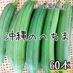 へちま/食用へちま/ナーベラー/朝採り/丝瓜/沖縄県産/60本入