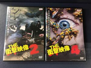 【レンタル専用品】DVD　THE　衝撃映像　2・4　2枚セット　※ジャケットに少々イタミ有！ケースは新品と交換済！ディスクもキレイです！