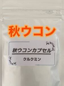 ☆大好評☆秋ウコンカプセル☆100カプセル☆持ち運び便利☆ウコンパウダー