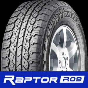 LT285/70R17 レイダン RYDANZ RAPTOR R09 4本セット Z0250 LT285 70 17 17インチ 国産コンフォートタイヤ シバタイヤ