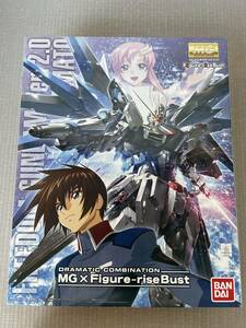 MG 1/100 フリーダムガンダムVer.2.0 ＆ キラ・ヤマト　未開封品　※