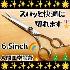 スパっと切れる理美容師プロ用シザーカットバサミハサミ✨トリマートリミングペットも