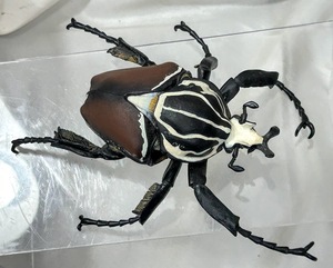 一番くじ 昆虫 C賞 ゴライアスオオツノハナムグリ フィギュア1/1 Goliathus goliathus [LIFE with INSECT]箱無 used コレクション 現状渡し