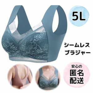 シームレスブラ ブラジャー 5L 4XL 大きいサイズ レース ノンワイヤーブラ ブルーグリーン 青緑 ナイトブラ ゆったり