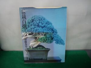 盆栽百撰 加藤 秀男 毎日新聞社※カバーに強い色ヤケ、破れあり